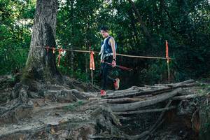 BIB: 
                            <button type="button" onclick="openModal(27755494)" class="btn btn-primary btn-sm float-right btn-popup" data-toggle="modal" data-target=".modal-high-quality">
                        <i class="fas fa-shopping-cart"></i> Add to Cart
                    </button>
                                            <button type="button" onclick="isThisMe(27755494, true)" class="btn btn-success btn-sm float-right btn-popup btn-isme hidden" data-toggle="tooltip" data-placement="bottom" title="นี่คือรูปของคุณใช่ไหม คลิกที่นี่เพื่อเอาเข้าอัลบั้ม">
                        <i class="fas fa-plus"></i> Add to album
                    </button>
                    <button type="button" onclick="isThisMe(27755494, false)" class="btn btn-warning btn-sm float-right btn-popup btn-isnotme hidden">
                        <i class="fas fa-ban"></i> Remove from album
                    </button>